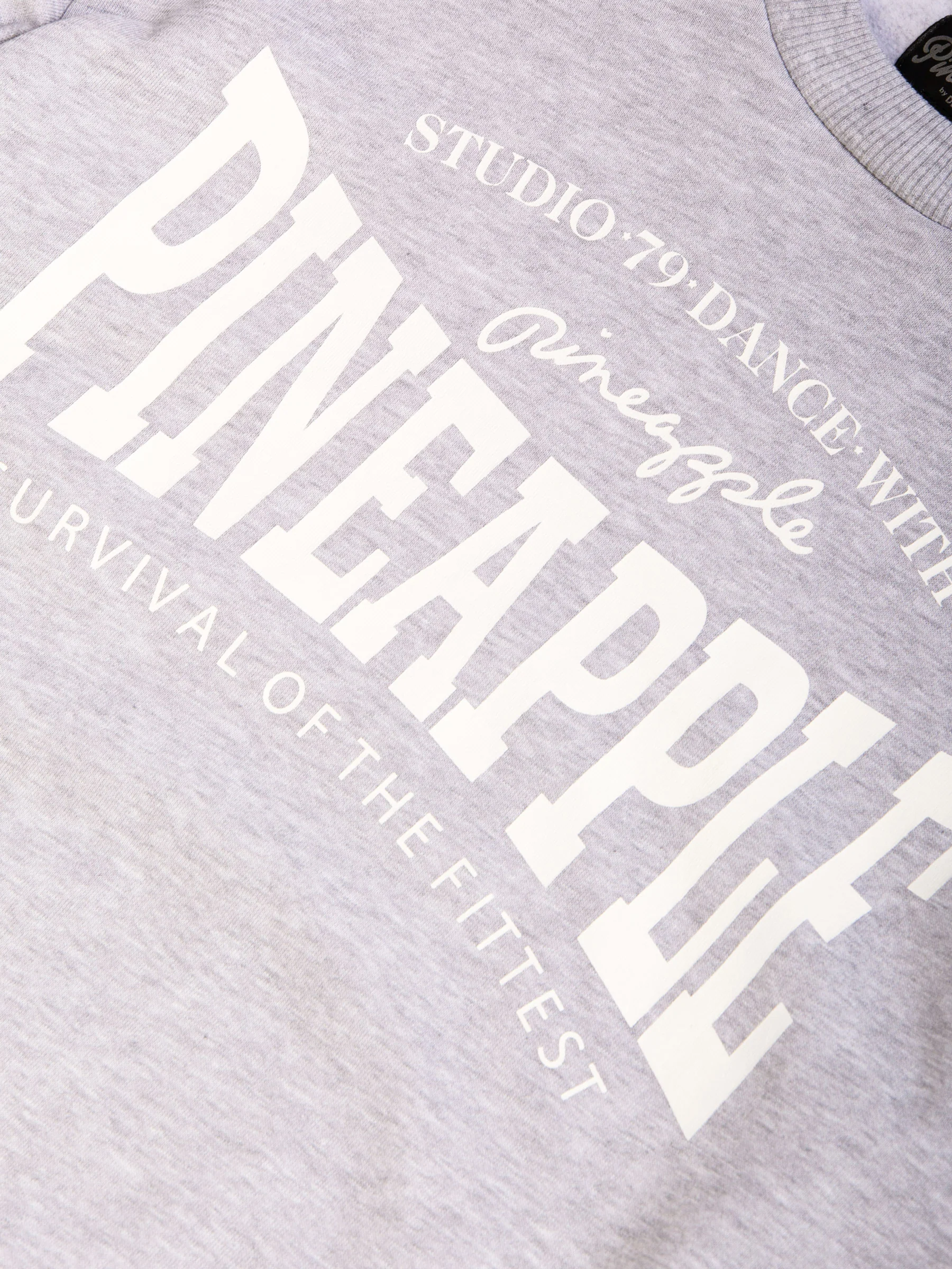 Pineapple Unisex Sweat Top - Image 7